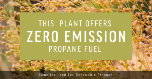 Read more about the article This Plant Offers Zero Emission Propane Fuel